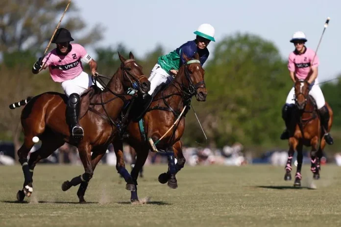 01a321307778b2ecd4685d04e188b0a2